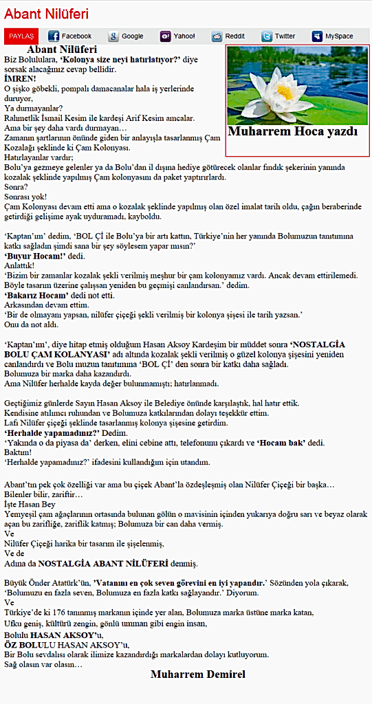 bolunun sesi 31 mayis 2015